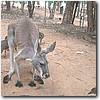 Australien Photos