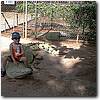 Australien Photos