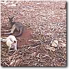 Australien Photos