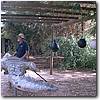 Australien Photos